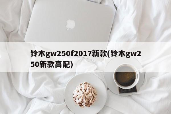 铃木gw250f2017新款(铃木gw250新款高配)