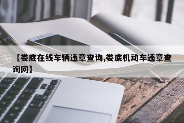 【娄底在线车辆违章查询,娄底机动车违章查询网】