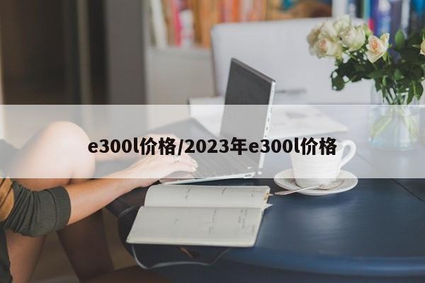 e300l价格/2023年e300l价格