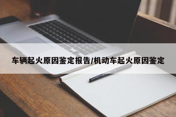 车辆起火原因鉴定报告/机动车起火原因鉴定