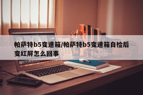 帕萨特b5变速箱/帕萨特b5变速箱自检后变红屏怎么回事
