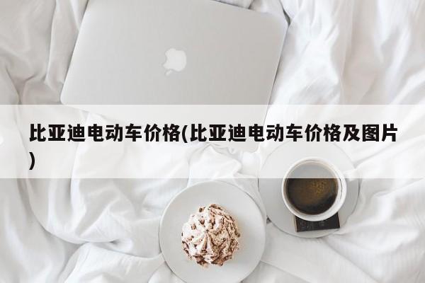 比亚迪电动车价格(比亚迪电动车价格及图片)