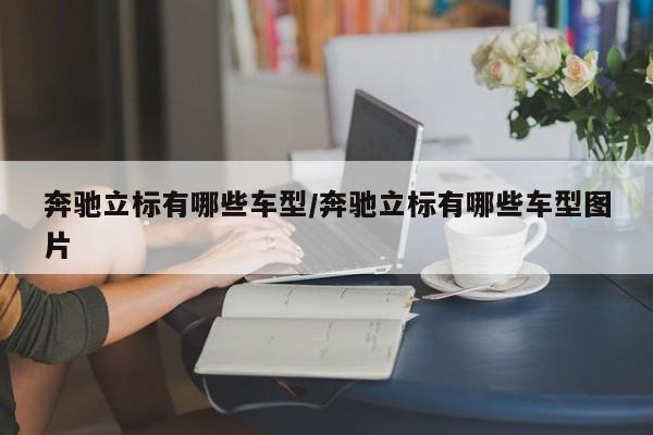 奔驰立标有哪些车型/奔驰立标有哪些车型图片