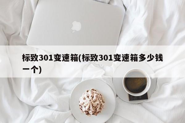 标致301变速箱(标致301变速箱多少钱一个)