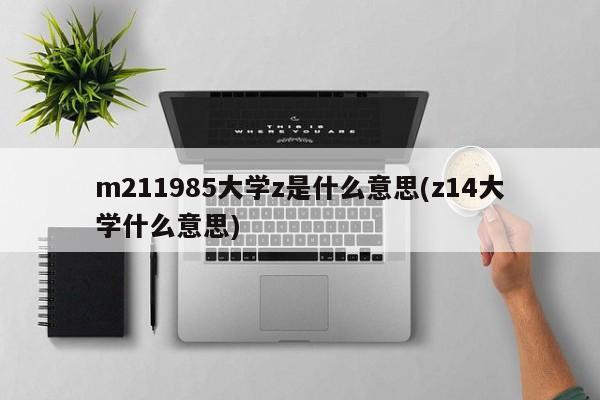 m211985大学z是什么意思(z14大学什么意思)